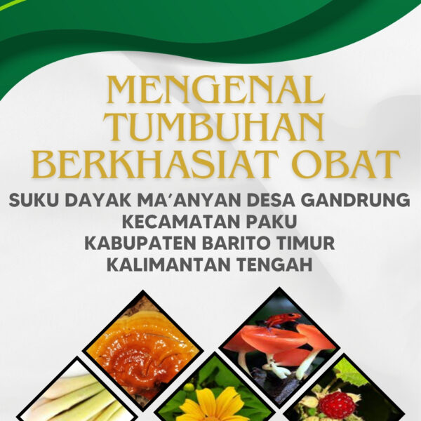 Mengenal Tumbuhan Berkhasiat Obat Suku Dayak Ma’anyan Desa Gandrung Kecamatan Paku Kabupaten Barito Timur Kalimantan Selatan