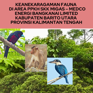 Keanekaragaman Fauna di Area SKK Migas-Medco Energi Bangkanai Limited, Kalimantan Tengah